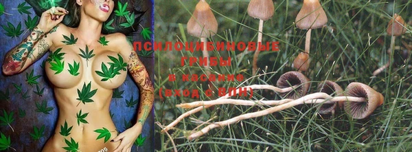 PSILOCYBIN Балабаново