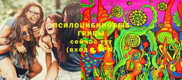 PSILOCYBIN Балабаново
